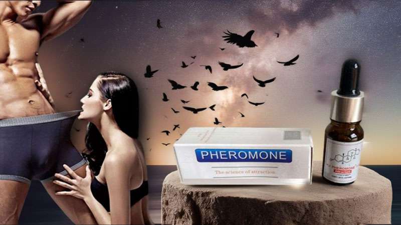 Lợi ích nước hoa kích thích nam Pheromone